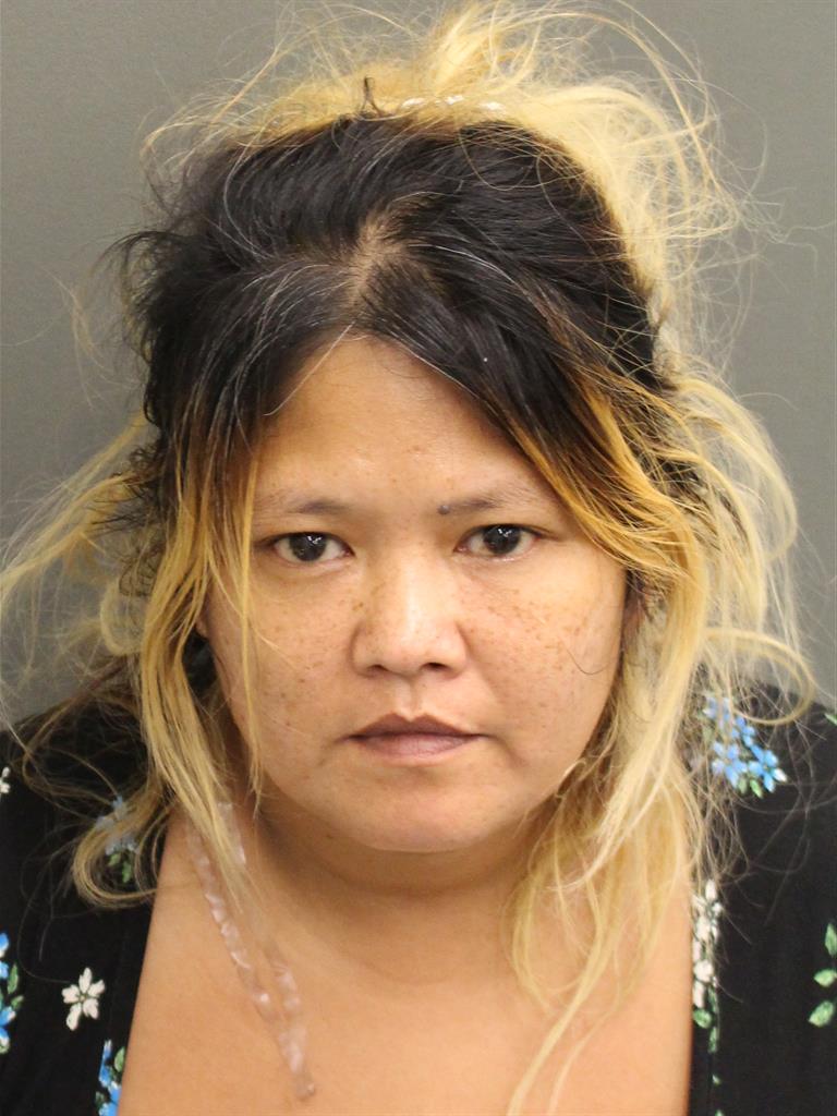  LAURINA VILLARIN Mugshot / County Arrests / Orange County Arrests