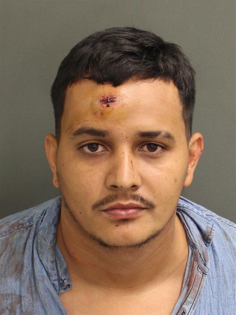  GABRIEL ALEMANALEMAN Mugshot / County Arrests / Orange County Arrests