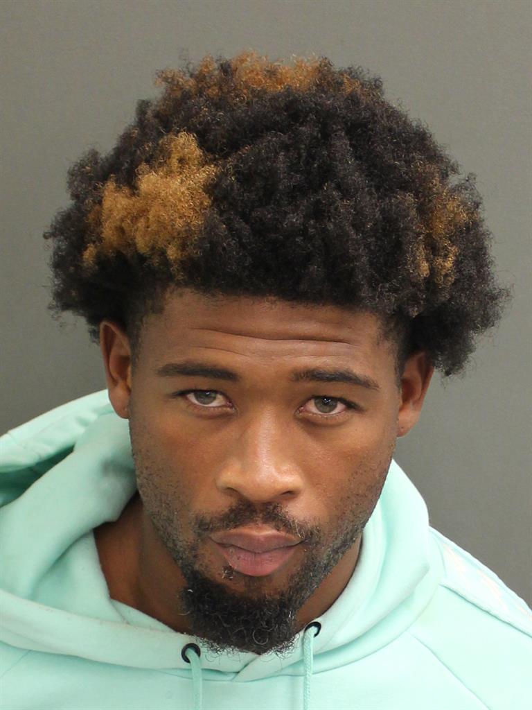  JAMES IV REESE Mugshot / County Arrests / Orange County Arrests