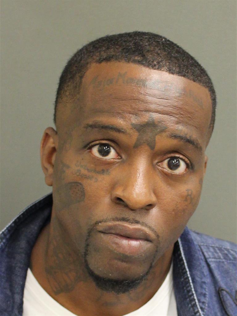 DAVE STEPHEN ALFRED Mugshot DAVE STEPHEN ALFRED Mugshot / County Arrests / Orange County Arrests