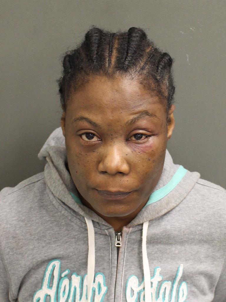  CYNTHIA LUBIN Mugshot / County Arrests / Orange County Arrests