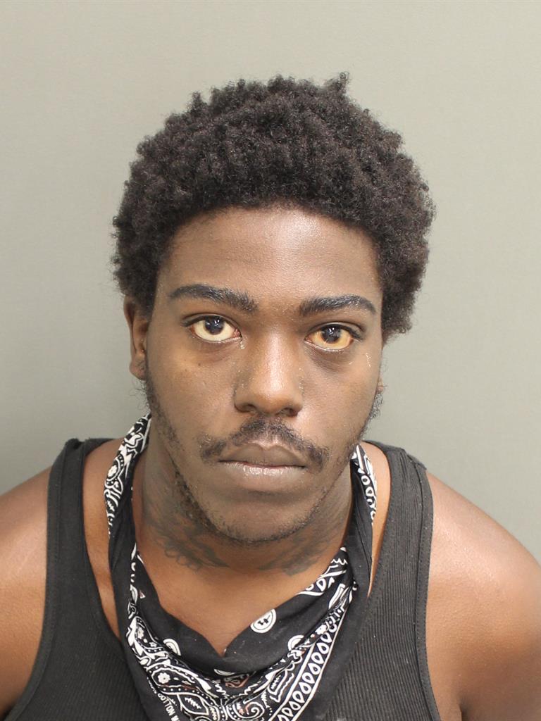  RONALD BRENT JR KING Mugshot / County Arrests / Orange County Arrests