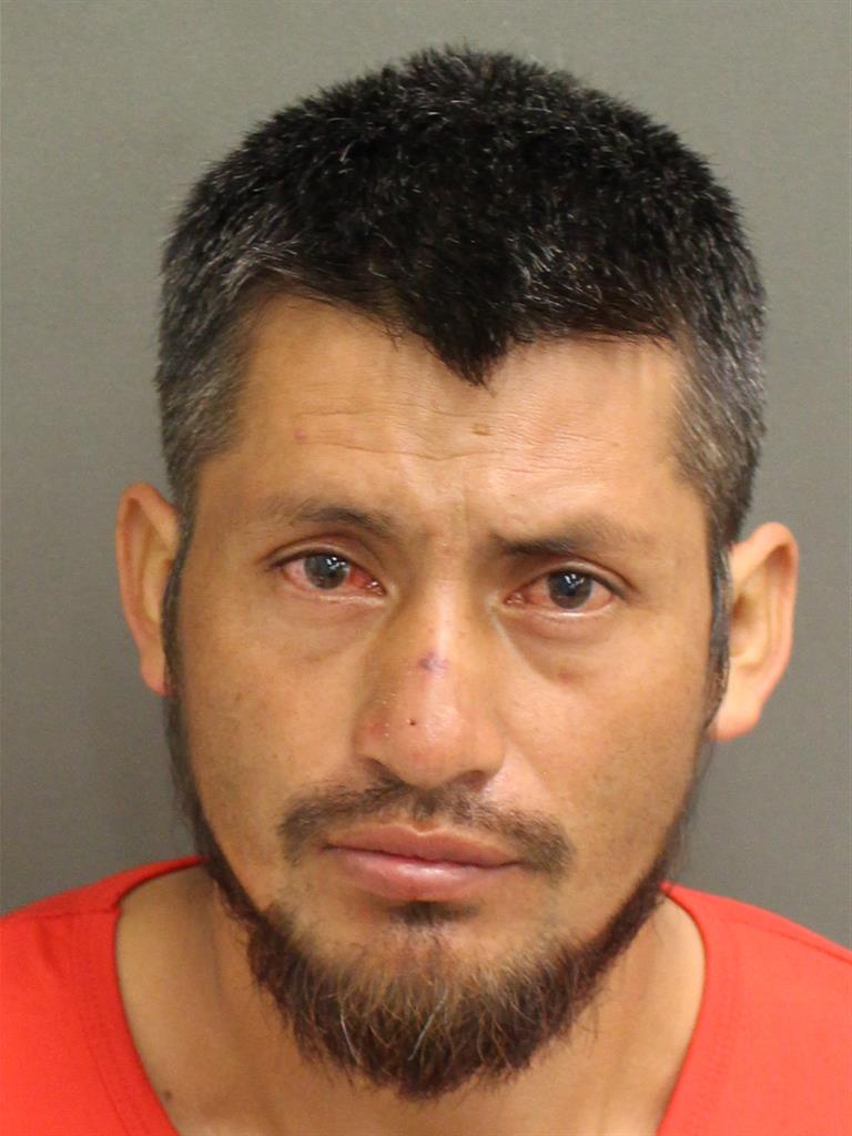  ALEXANDER GUTIERREZGONZALEZ Mugshot / County Arrests / Orange County Arrests
