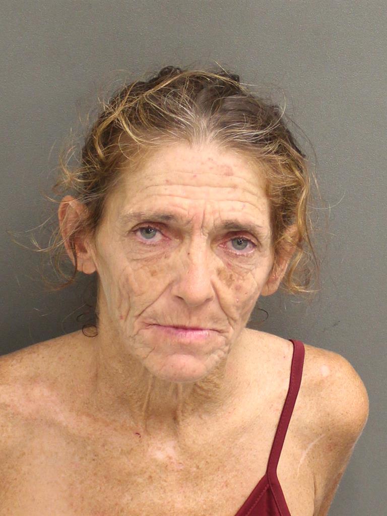  TINA D HALE Mugshot / County Arrests / Orange County Arrests
