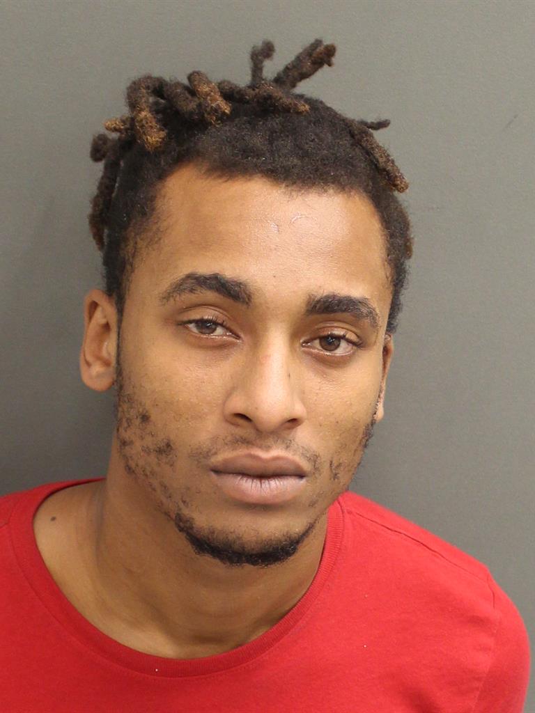  ALPATCHINO JEUNE Photo Image