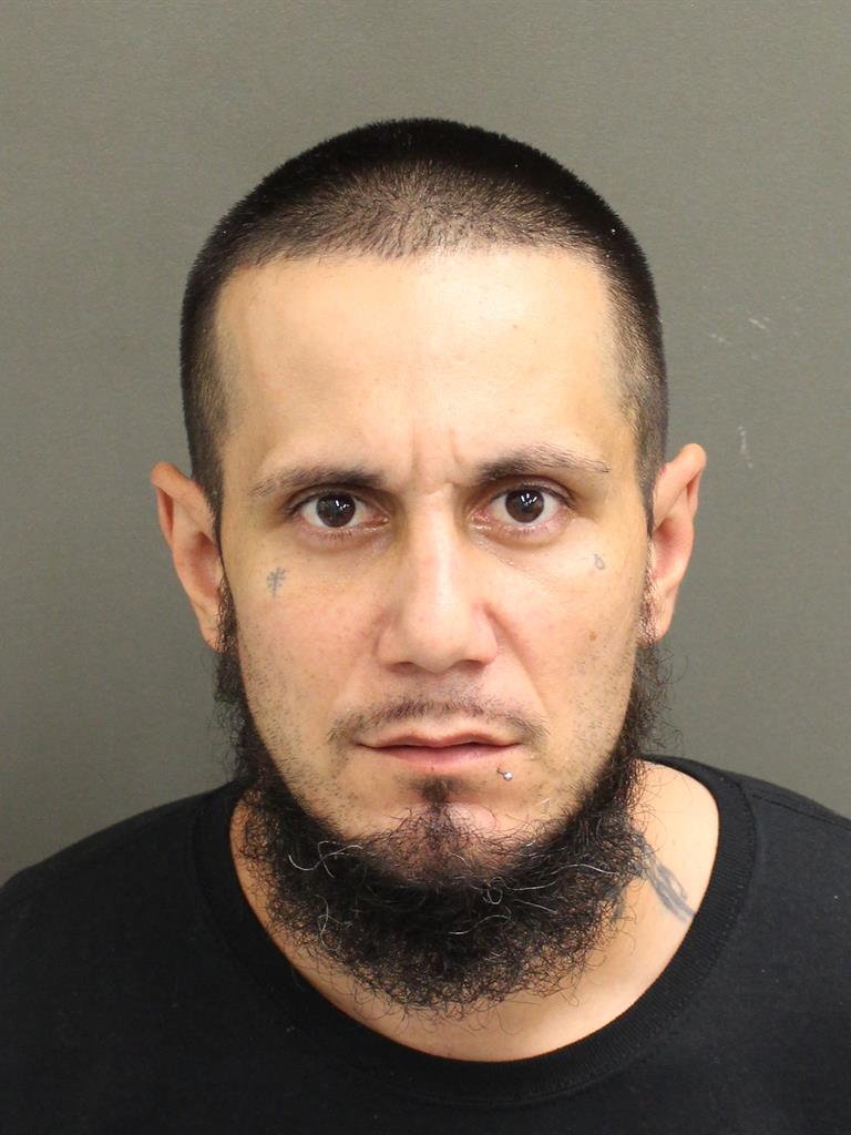  DYLAN DONALD RICCI Mugshot / County Arrests / Orange County Arrests