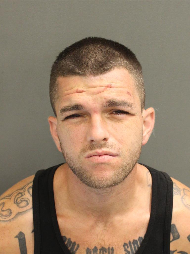  CODY DALTON AMANN Mugshot / County Arrests / Orange County Arrests