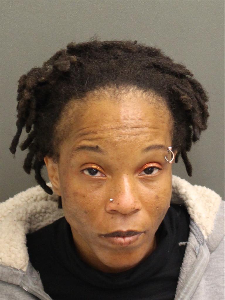  ERICA M MCCLURE Mugshot / County Arrests / Orange County Arrests