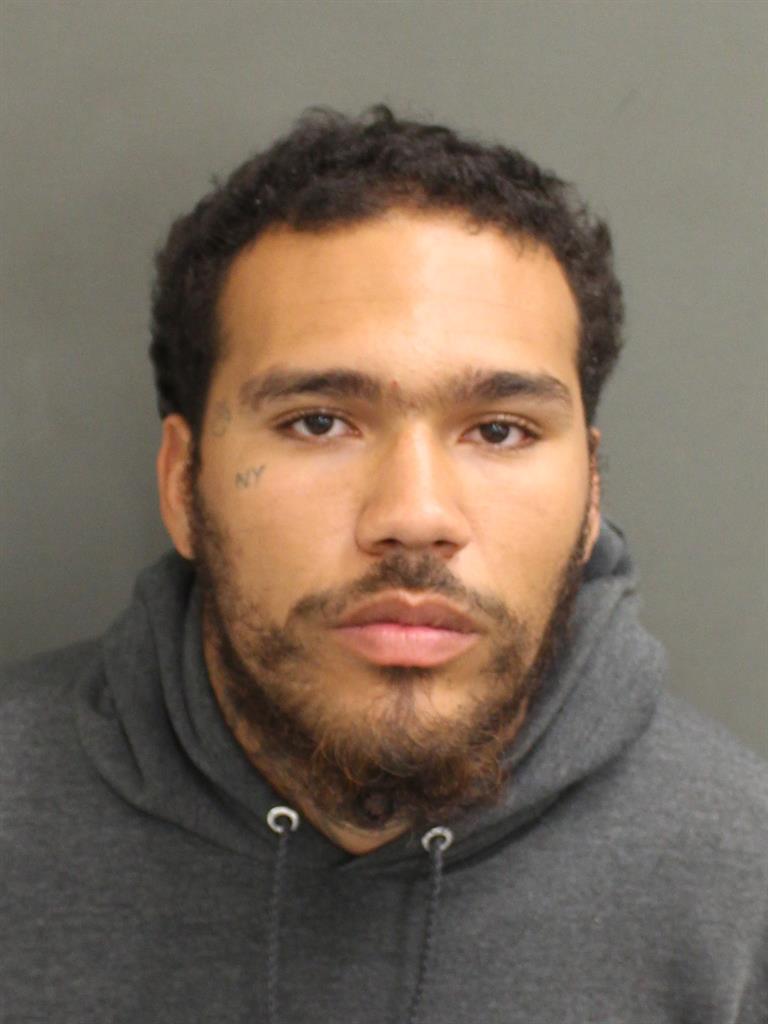  FELIX ANTONIO BORBON Mugshot / County Arrests / Orange County Arrests