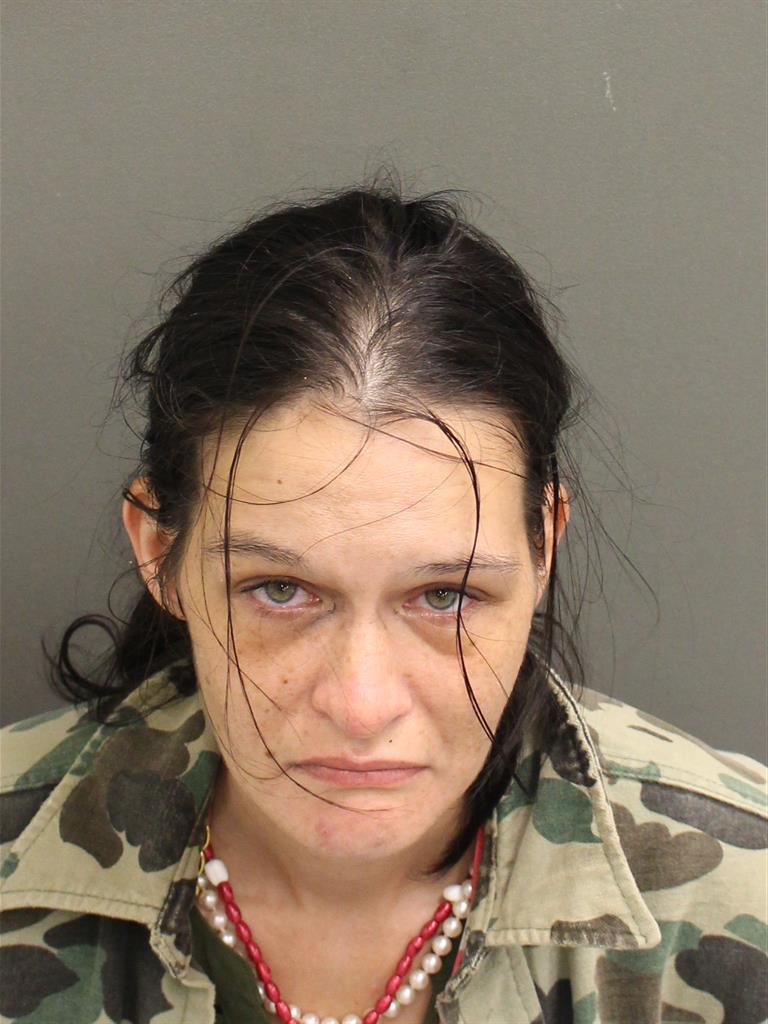  MELISSA SUE HODGES Mugshot / County Arrests / Orange County Arrests