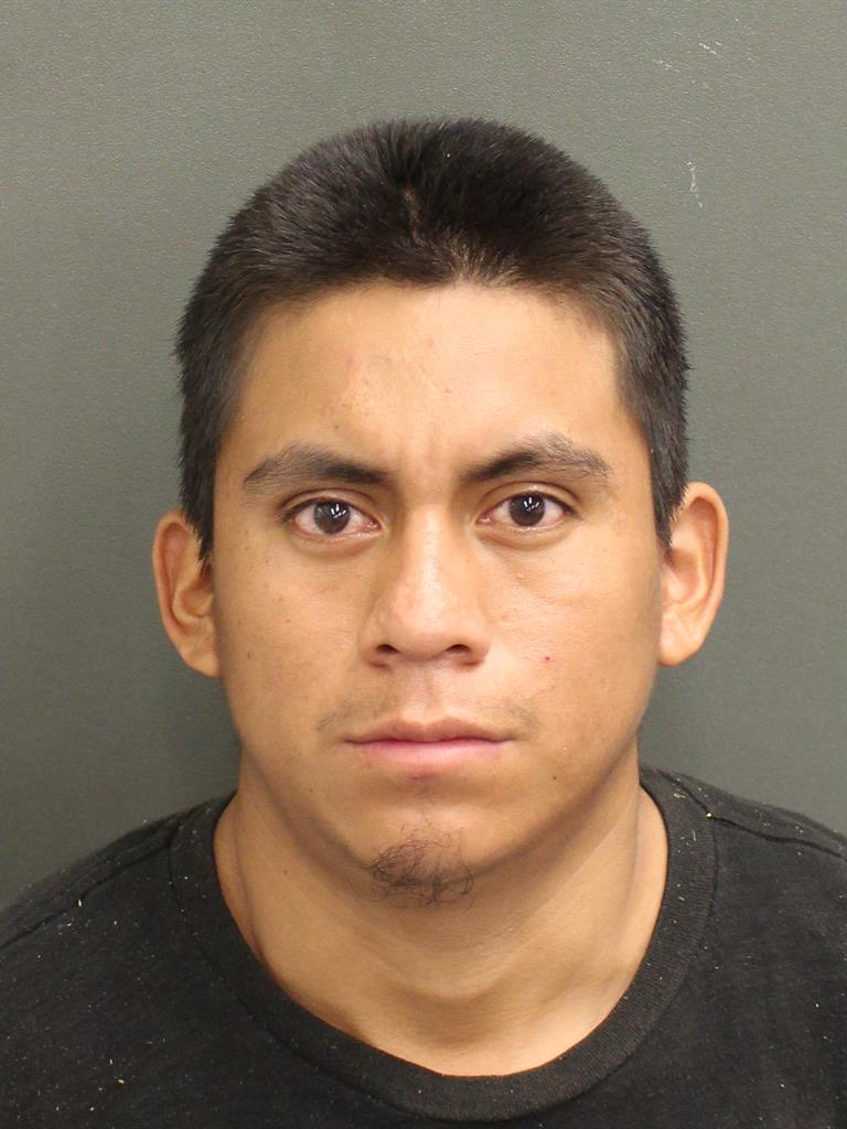  AMILCAR MARCOTULI DOMINGOBRAVO Mugshot / County Arrests / Orange County Arrests