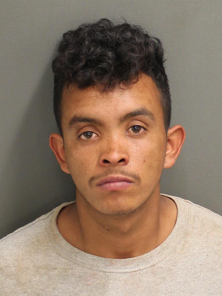  MELVIN ALDAIR PEREIRACASTANEDA Photo Image