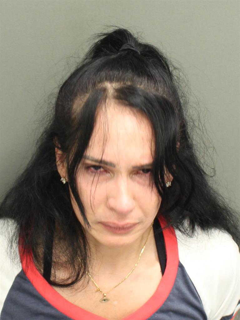  AMALIE RIVERA Mugshot / County Arrests / Orange County Arrests