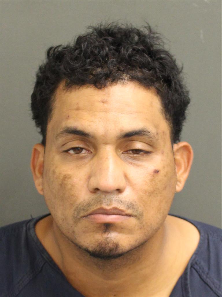  DOMINGO COLONORTIZ Photo Image