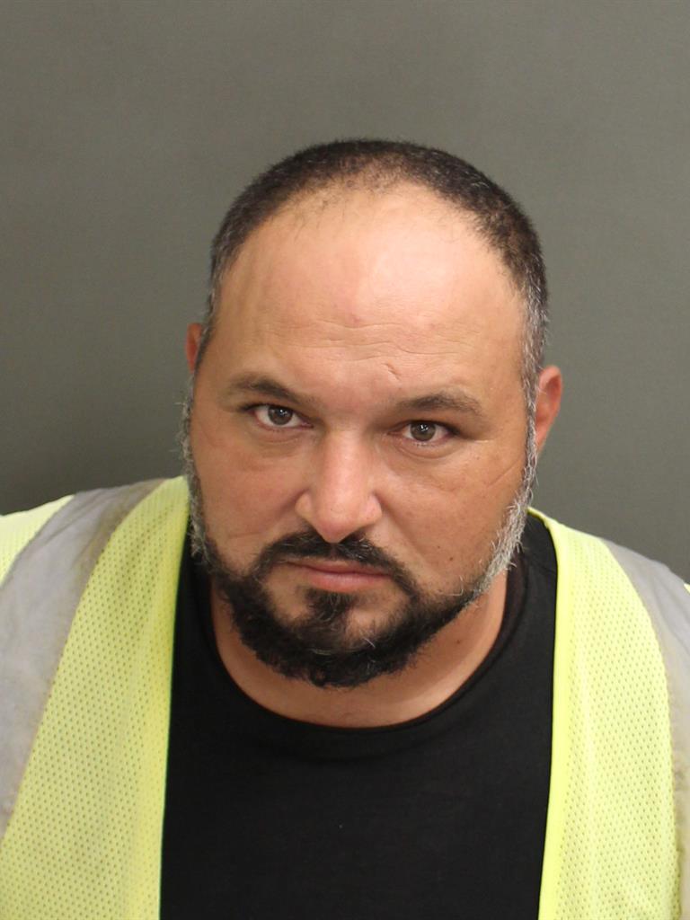  MIHAI ION Mugshot / County Arrests / Orange County Arrests