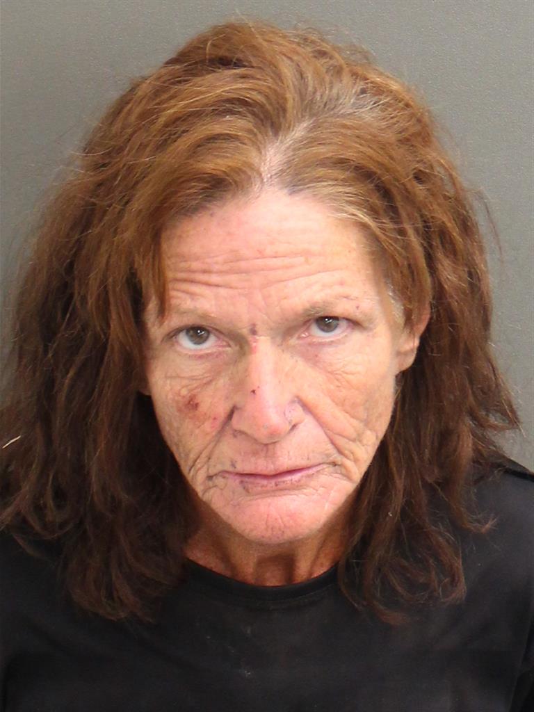  SHEILA MARIE SUMMERLIN Mugshot / County Arrests / Orange County Arrests
