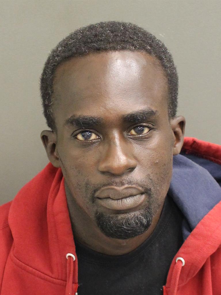  GOODWIN AINE Mugshot / County Arrests / Orange County Arrests