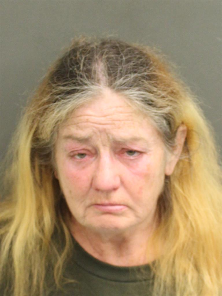  KAREN BLAIR Mugshot / County Arrests / Orange County Arrests
