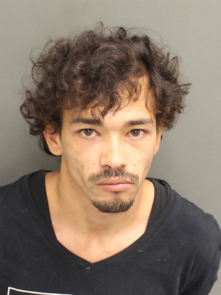  LOUIS MARK MICHAELS Mugshot / County Arrests / Orange County Arrests