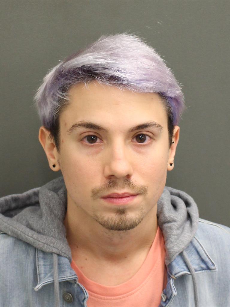  MATTHEW DAVID FITZGERALD Mugshot / County Arrests / Orange County Arrests