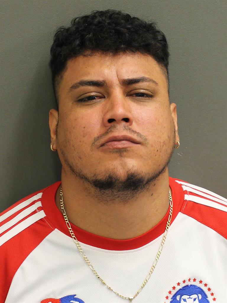  CHRISTIAN ARNULFO MEDINAROMERO Mugshot / County Arrests / Orange County Arrests