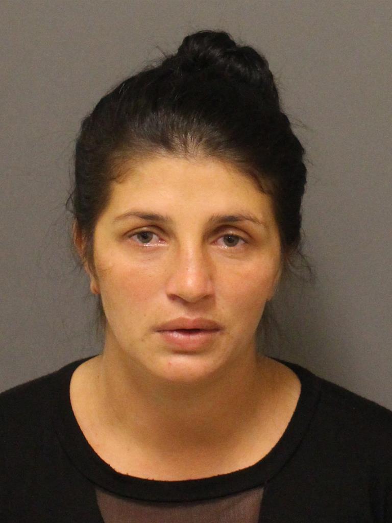  ELENAMONA IORDACHE Mugshot / County Arrests / Orange County Arrests