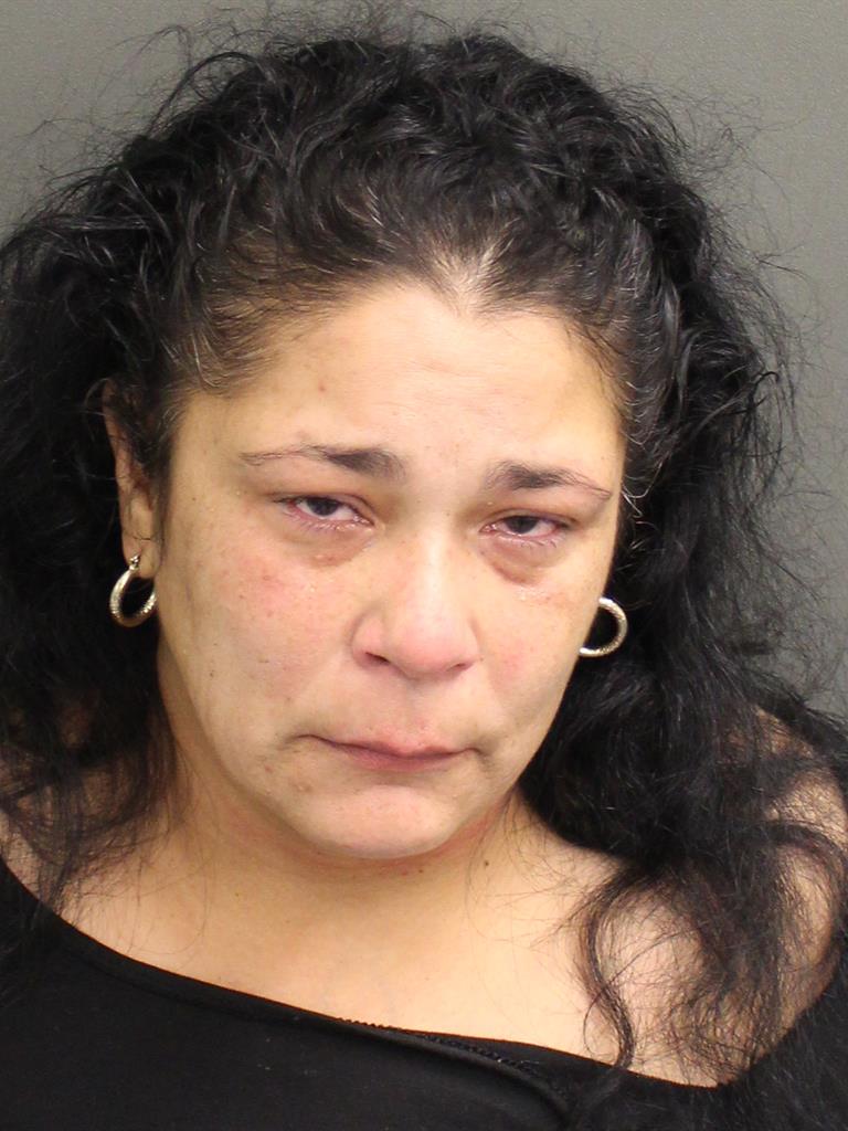 WANDALIZ HERNANDEZ Mugshot / County Arrests / Orange County Arrests