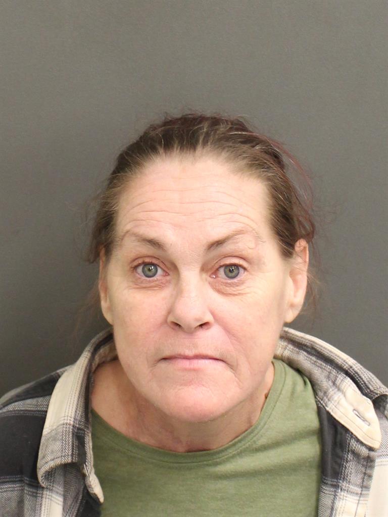  CONNIE ELIZABETH HAMILTON Mugshot / County Arrests / Orange County Arrests