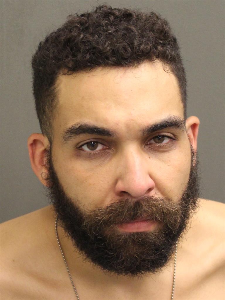  LUIS FRATERNAL RODRIGUEZ Mugshot / County Arrests / Orange County Arrests