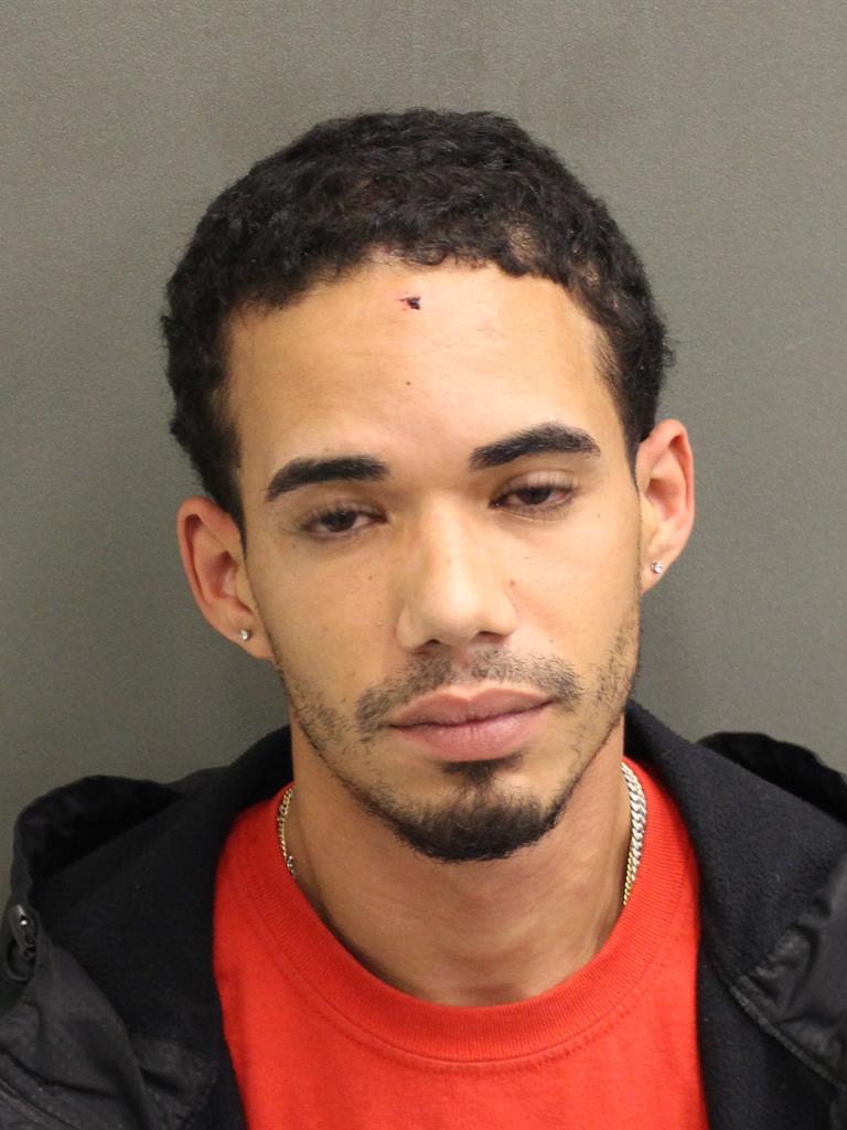  PETER ALBERT JR SCIASCIA Mugshot / County Arrests / Orange County Arrests