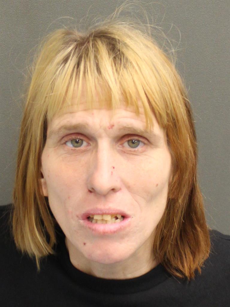  ASHLEY SUE VERNON Mugshot / County Arrests / Orange County Arrests