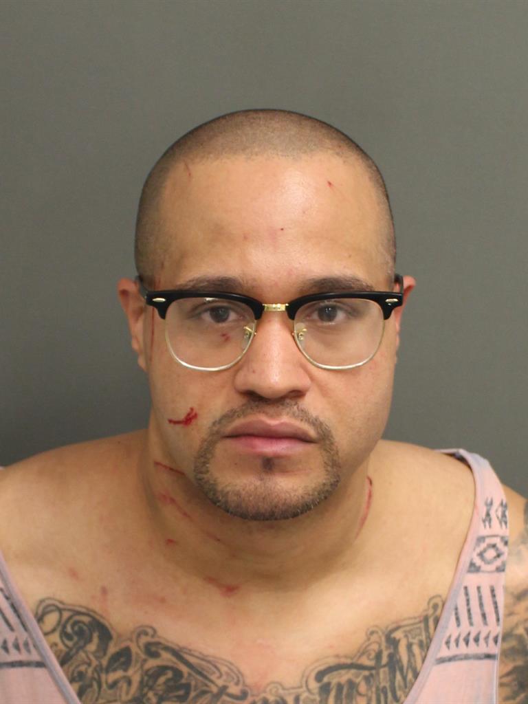  EDWIN  JR RAIMUNDI Mugshot / County Arrests / Orange County Arrests