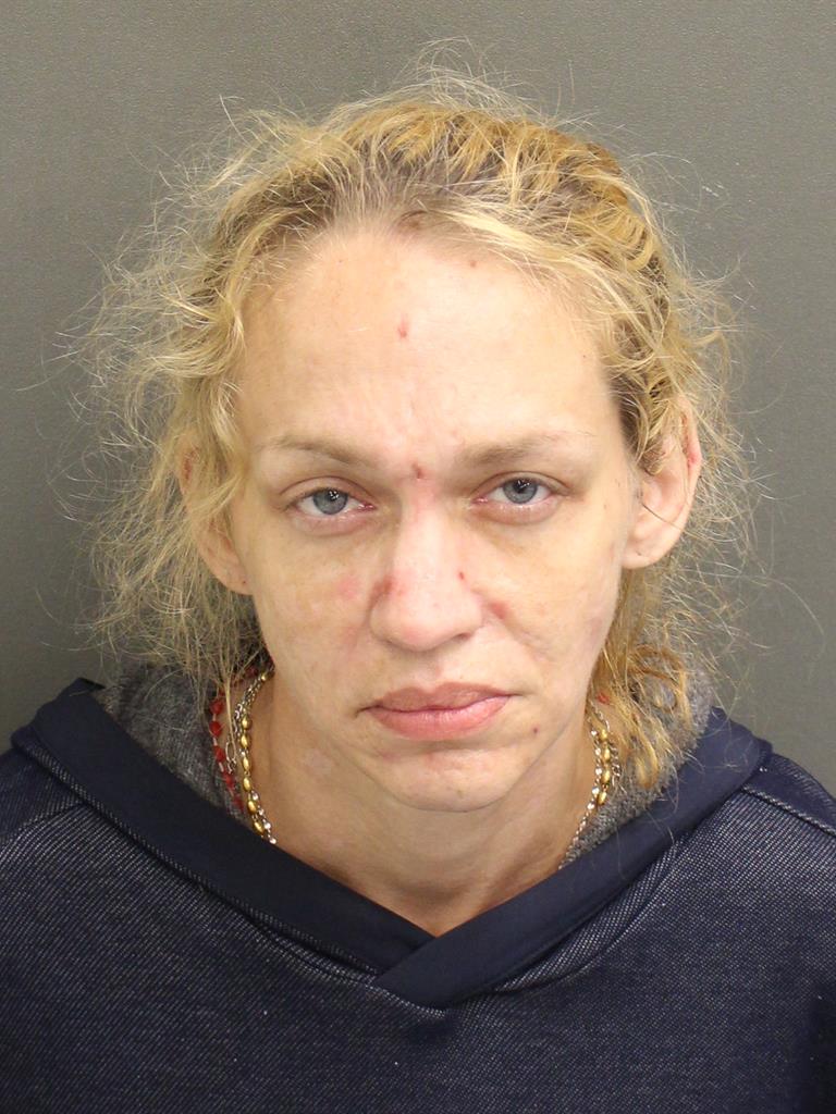  THERESA MEREDITH JANKOVIK Mugshot / County Arrests / Orange County Arrests