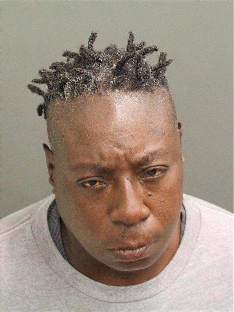  DENISE L STURGIS Mugshot / County Arrests / Orange County Arrests