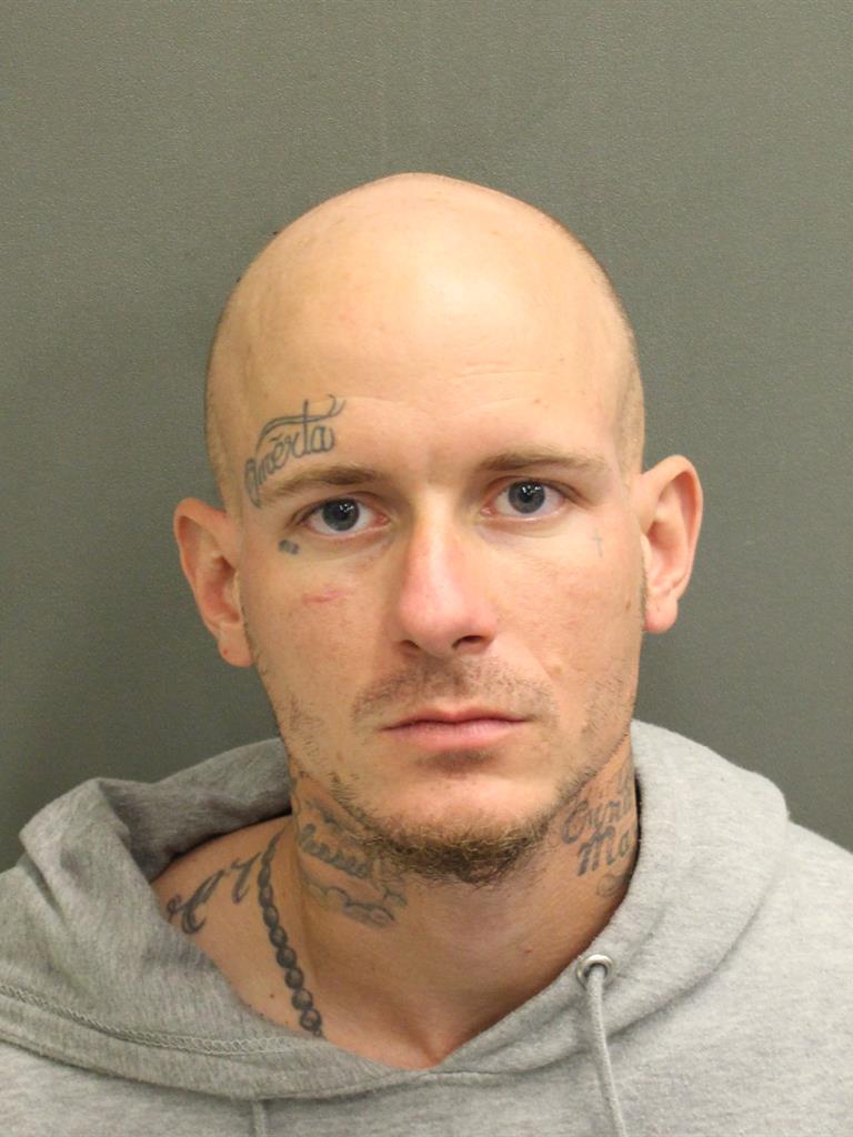  DAVID MICHAEL AMBROSIO Mugshot / County Arrests / Orange County Arrests