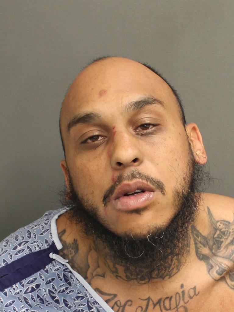  PIERRE LOUISJACQUES Photo Image