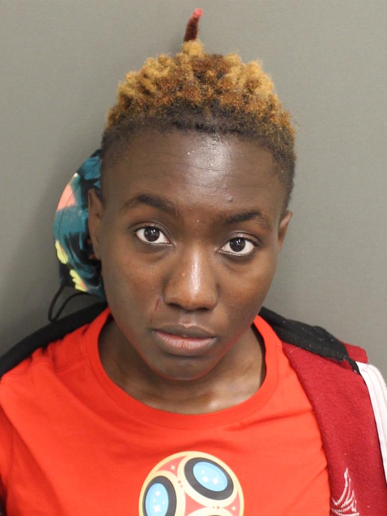 DYANDA REBEKAH LUBIN Mugshot / County Arrests / Orange County Arrests