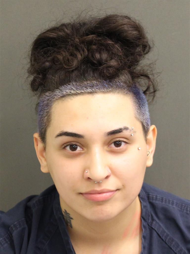  BRIANNA LYNN SECCAFICO Mugshot / County Arrests / Orange County Arrests
