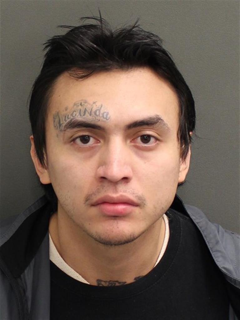  LOEIS ENRIQUE VASQUEZ Mugshot / County Arrests / Orange County Arrests