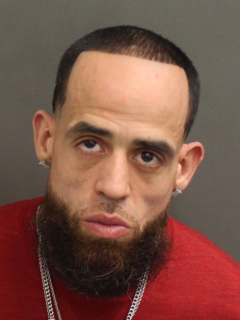  JUAN A SANCHEZ Mugshot / County Arrests / Orange County Arrests