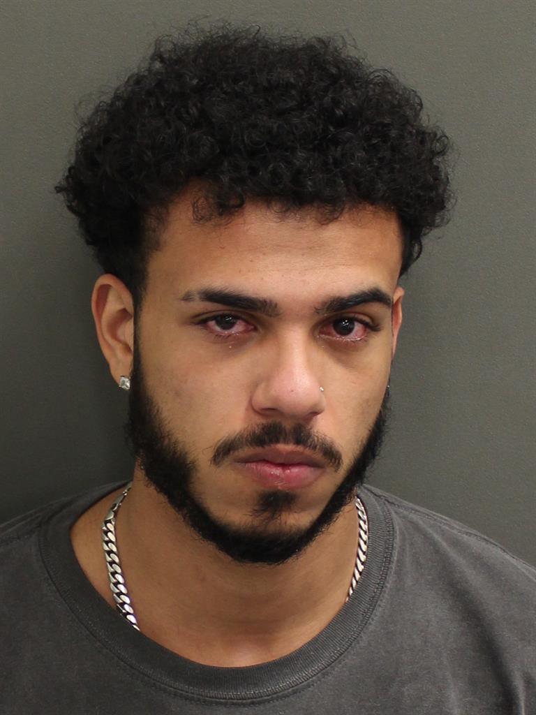  ALEXANDER FRANK WISE Mugshot / County Arrests / Orange County Arrests