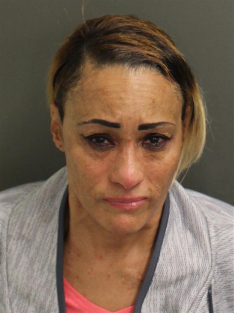  FINA NOEL PEREZ Mugshot / County Arrests / Orange County Arrests