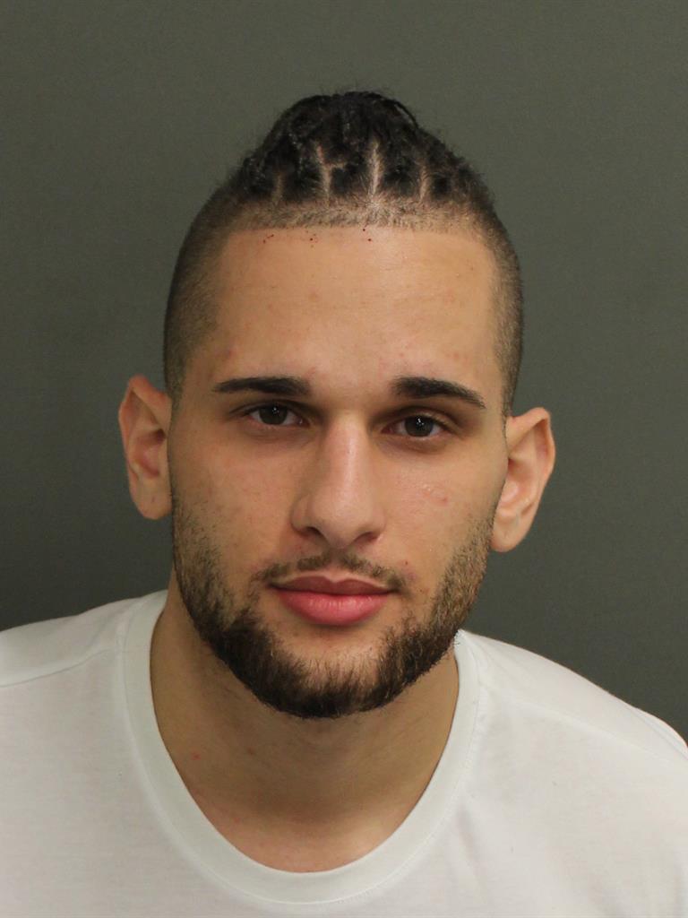 CHRIS HUNGRIA Mugshot CHRIS HUNGRIA Mugshot / County Arrests / Orange County Arrests