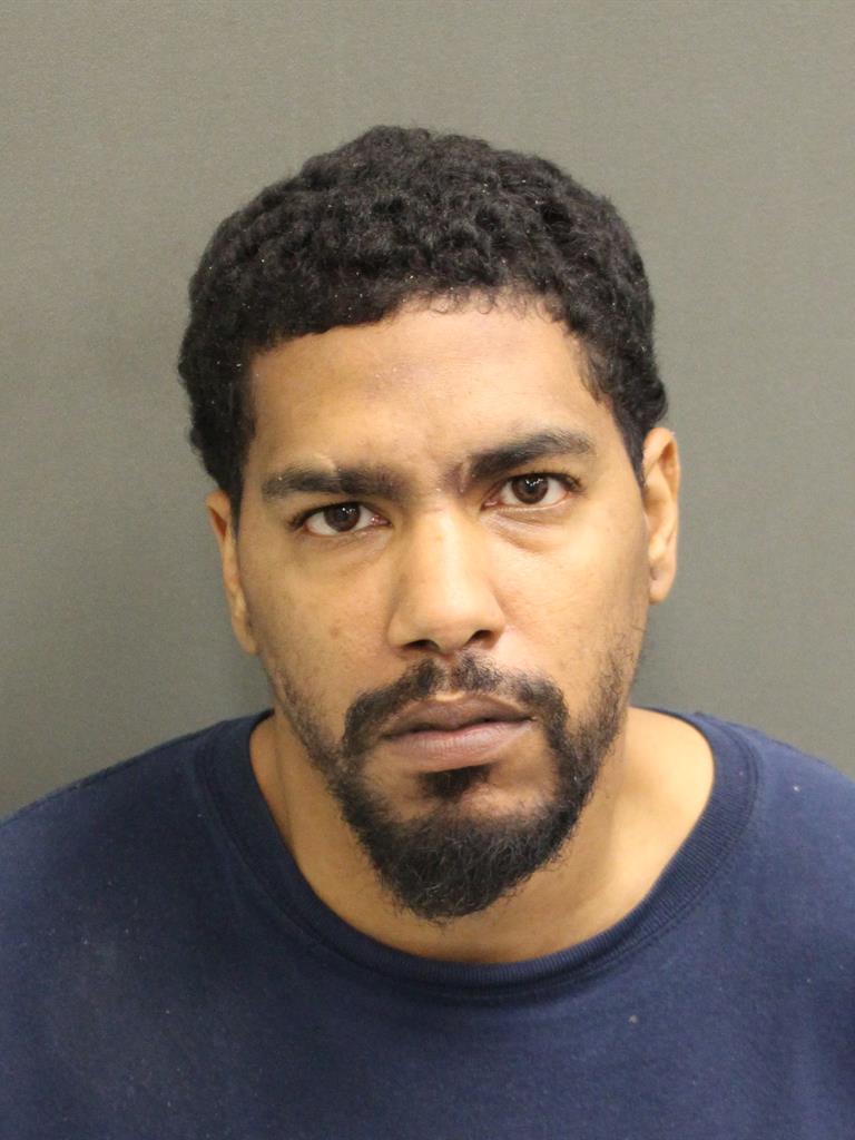  SEAN CHILDS Mugshot / County Arrests / Orange County Arrests