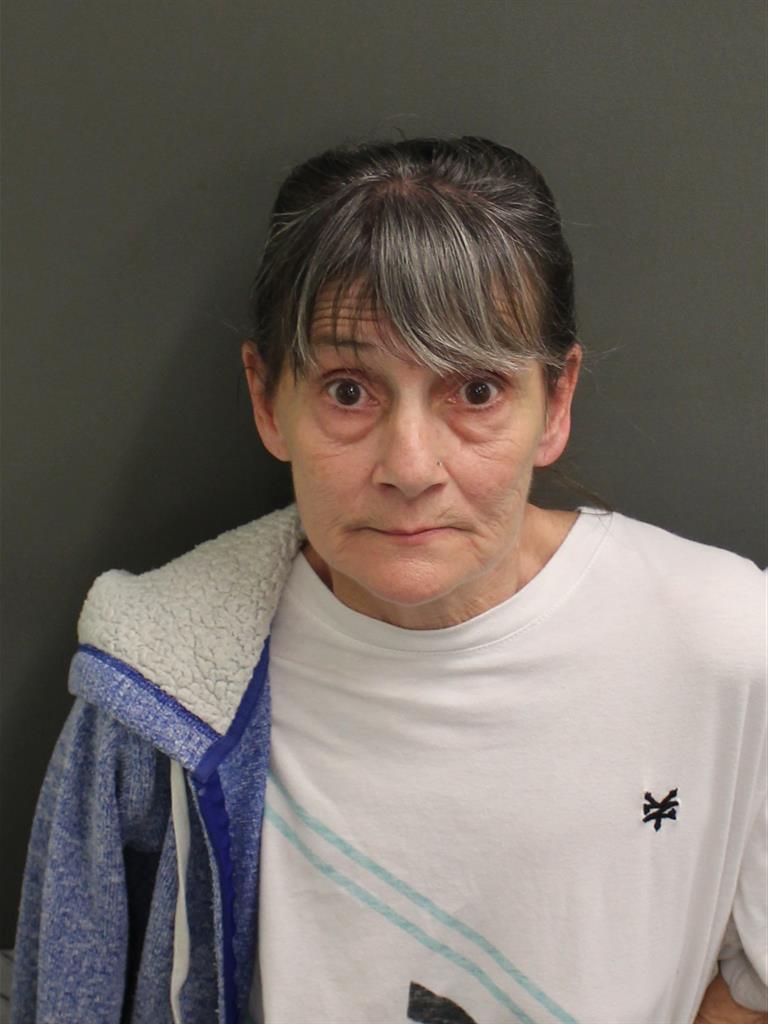  SANDRA ANN JONES Mugshot / County Arrests / Orange County Arrests