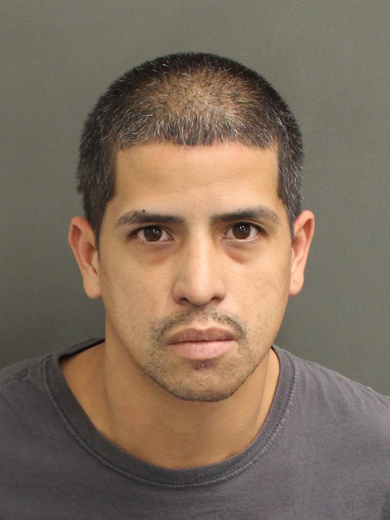  STEVEN  JR OCASIO Mugshot / County Arrests / Orange County Arrests