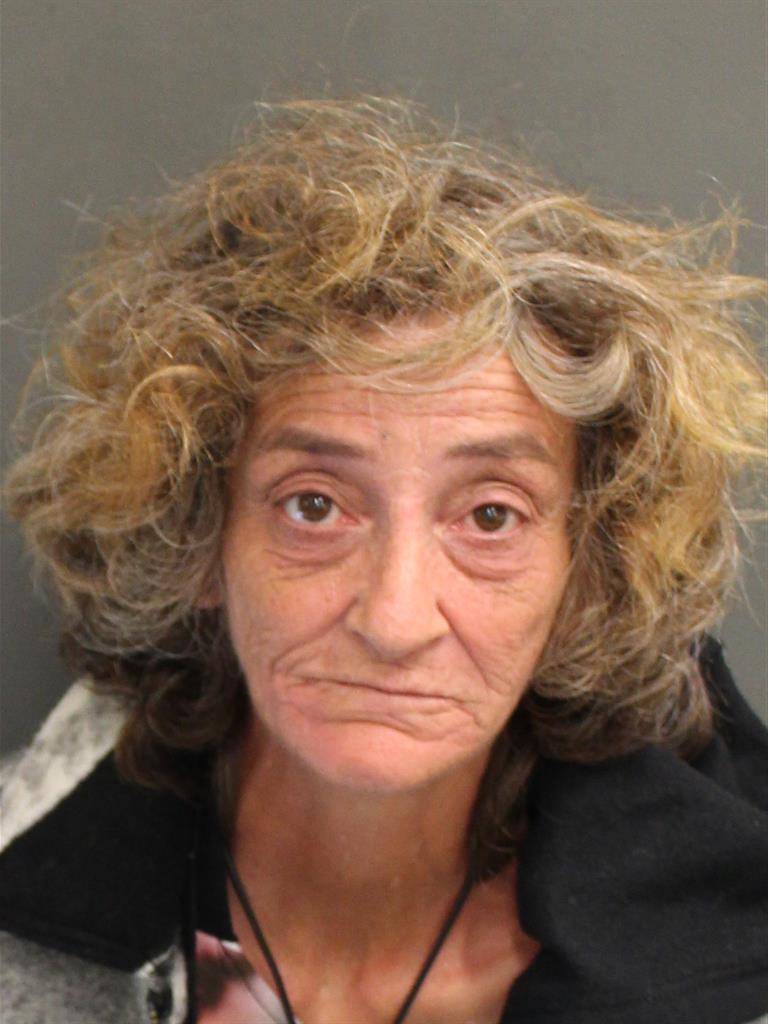 LAUREEN ANN MCGOWAN Mugshot LAUREEN ANN MCGOWAN Mugshot / County Arrests / Orange County Arrests