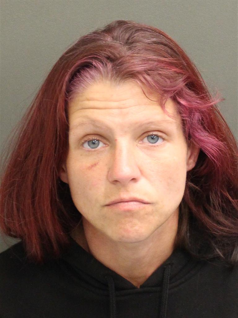  REBECCA RUTH LEWIS Mugshot / County Arrests / Orange County Arrests