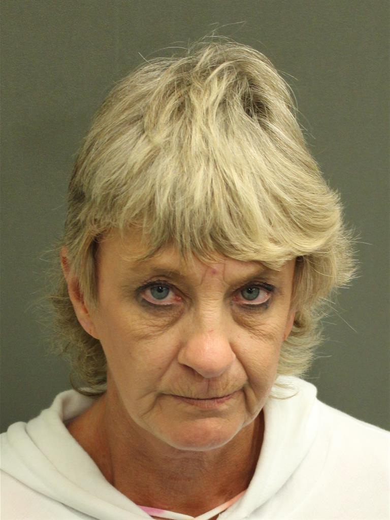  SUSAN K JOHNSON Mugshot / County Arrests / Orange County Arrests