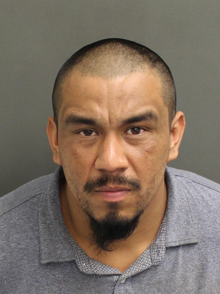  ODY JR RAMIREZ Mugshot / County Arrests / Orange County Arrests